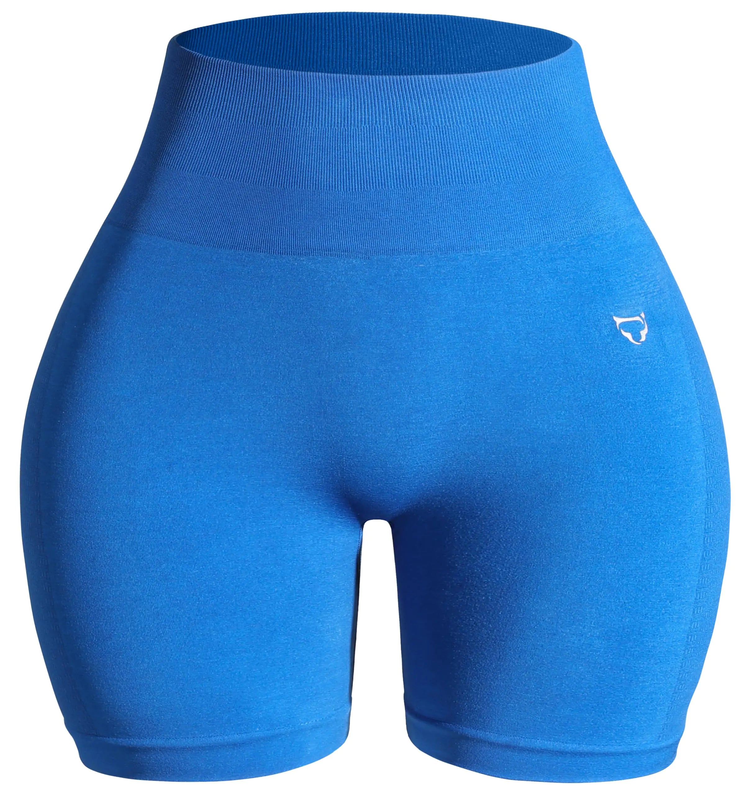 TomTiger Womens Athletic Seamless Shorts High Waisted Squat Proof Tummy Control Exercise Shorts Women (Brilliant BlueXL)